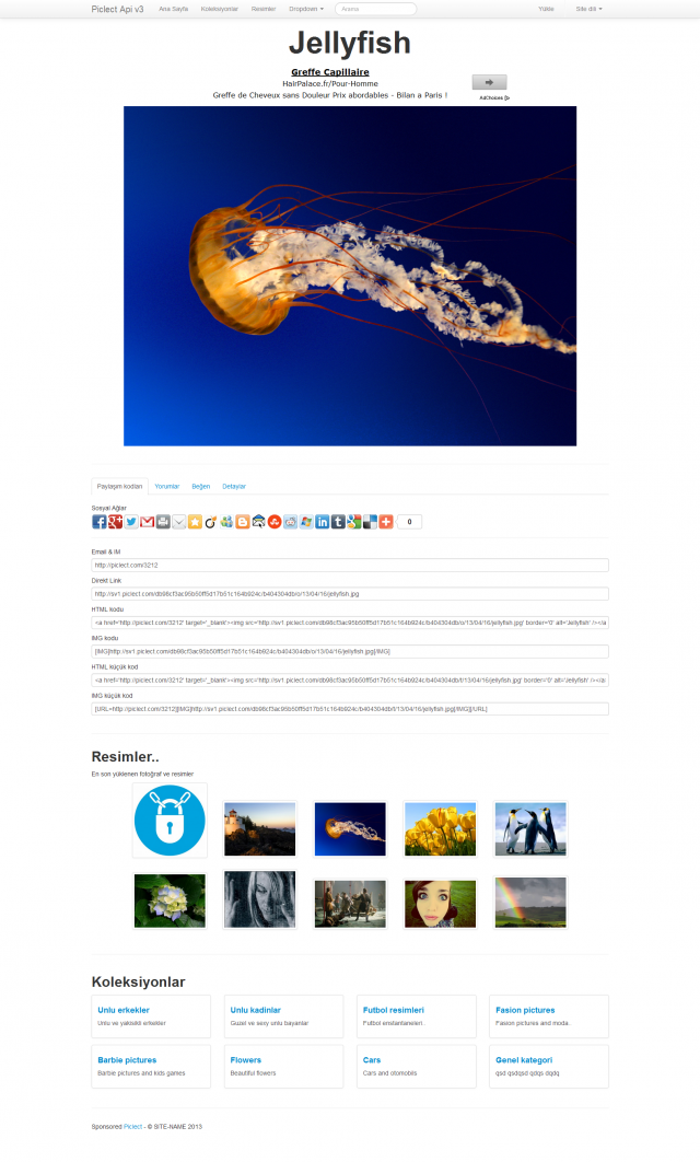 FireShot Screen Capture #013 - Jellyfish - Piclect Api v3 - piclect_com_apiPortalsmarty_202_jellyfish_html